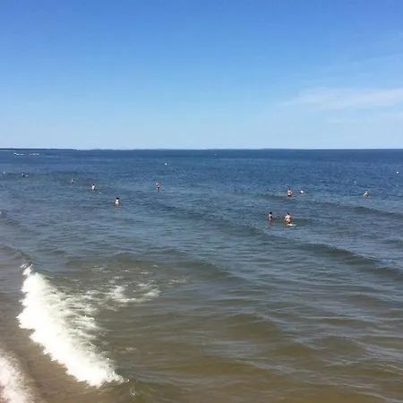 1 Schultz Comfortable *